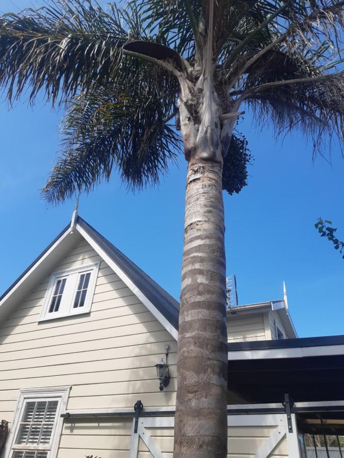 Harbour View Cottage โอ๊คแลนด์ ภายนอก รูปภาพ